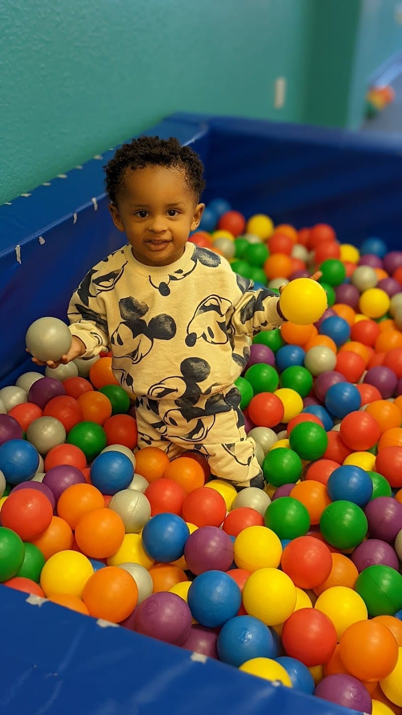 Swings and Wings playground photo 3