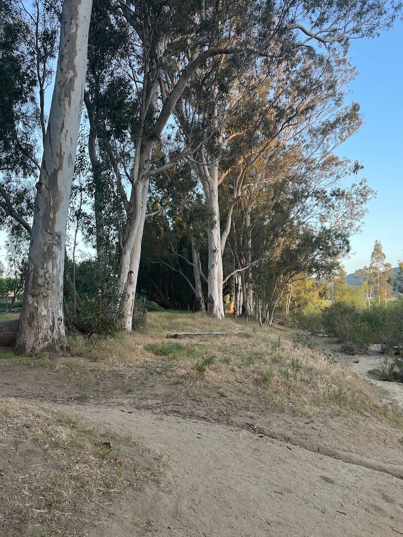 Sykes Ranch Park playground photo 2