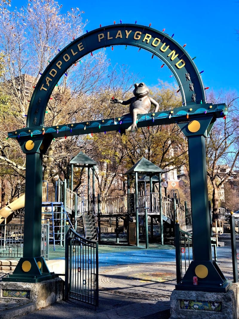 Tadpole Playground playground photo 1