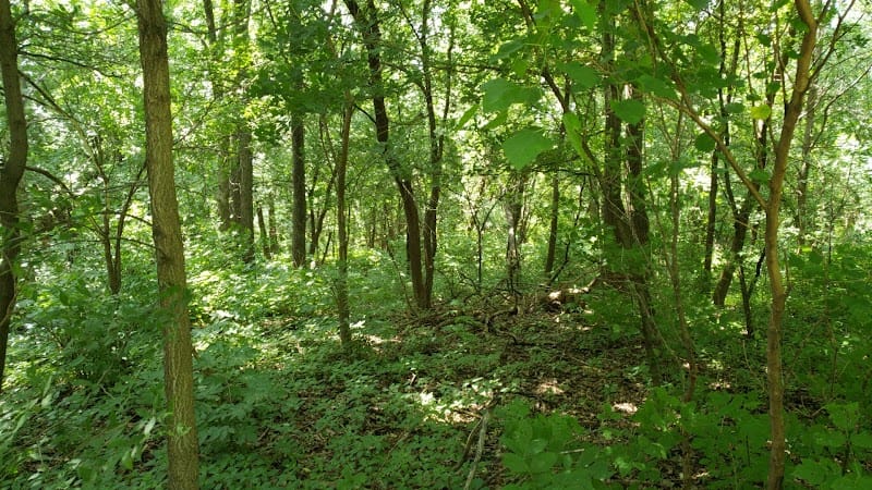 Territorial Park playground photo 1