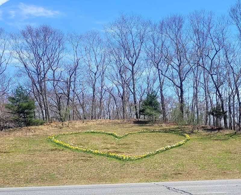 Terry's Heart playground photo 1