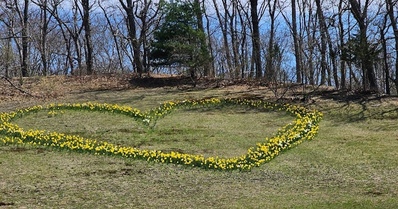 Terry's Heart playground photo 2