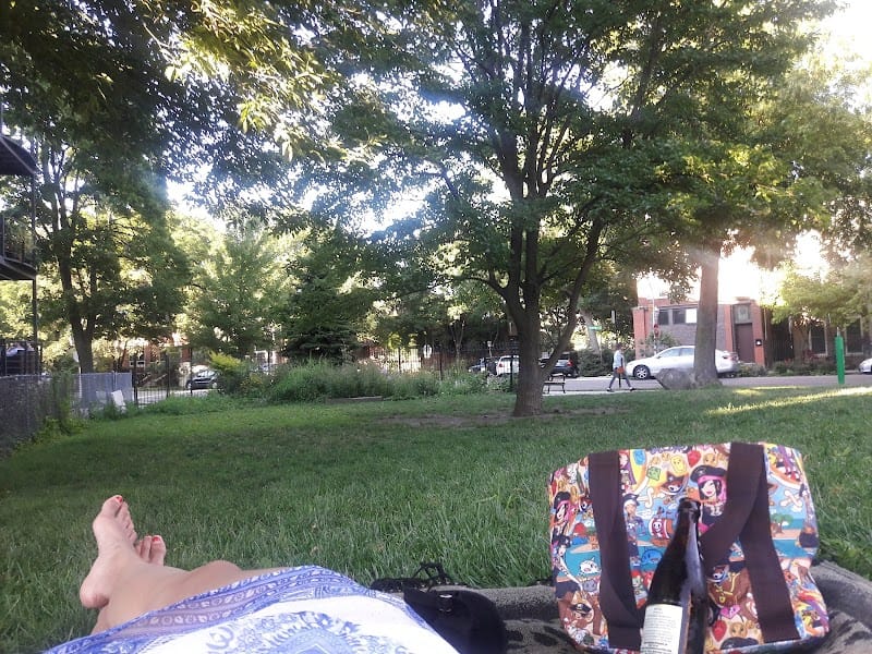 The Bucktown Green playground photo 1