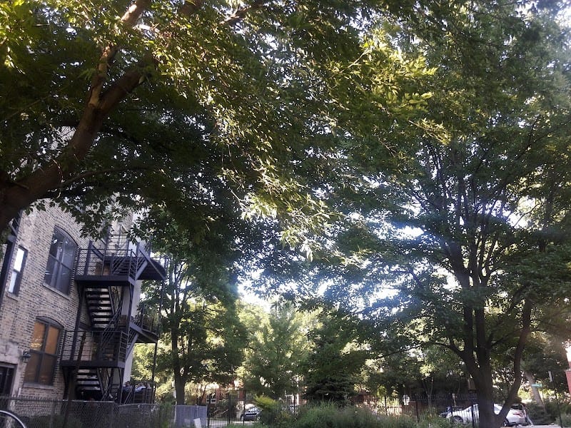 The Bucktown Green playground photo 3