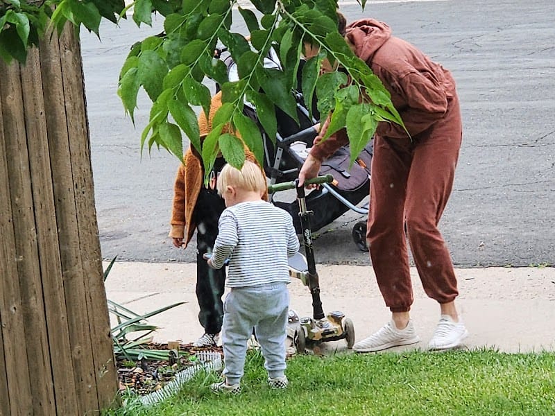 The Fairy Garden playground photo 3