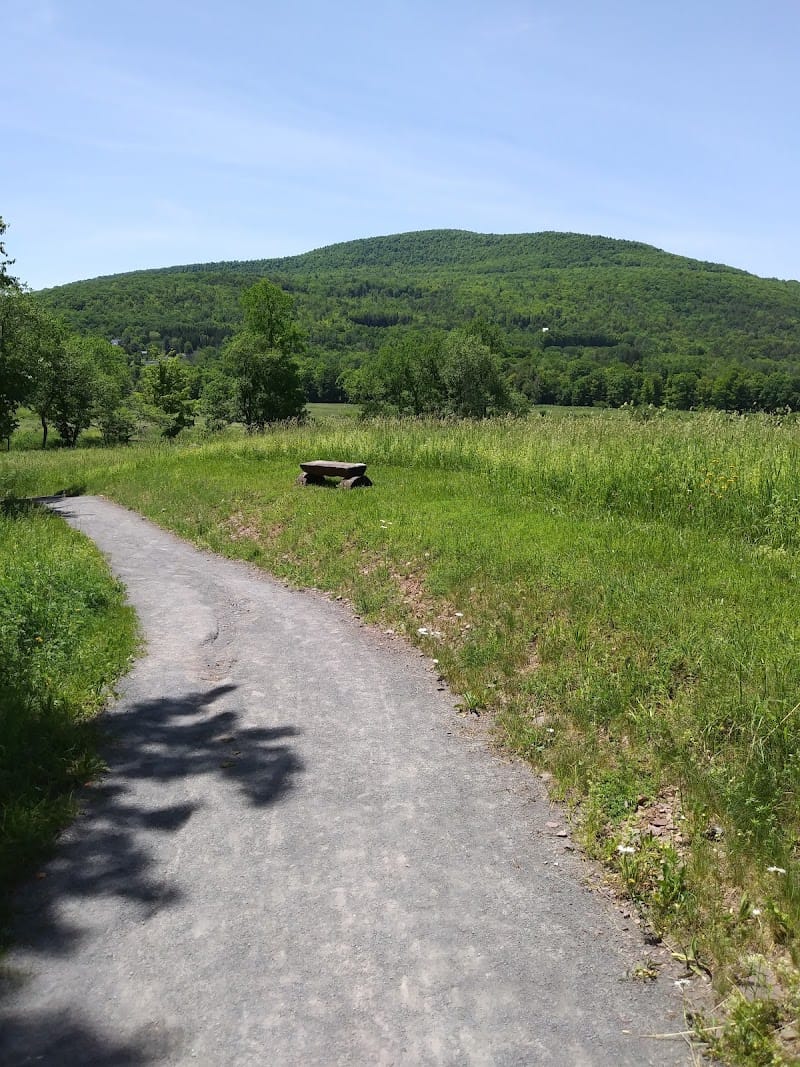 The Windham Path playground photo 2