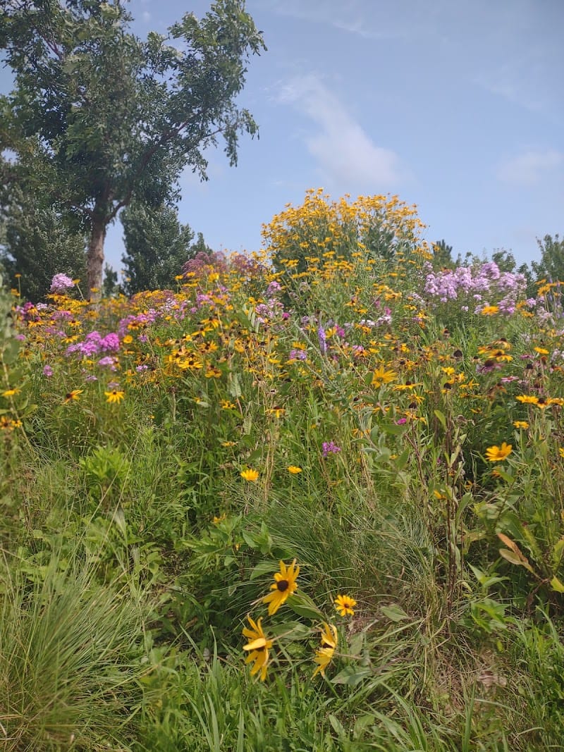 Thelin Park playground photo 2