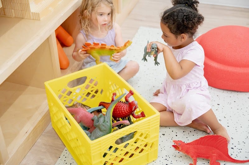 Tig & Peach playground photo 3