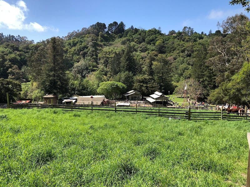 Tilden Nature Area playground photo 1