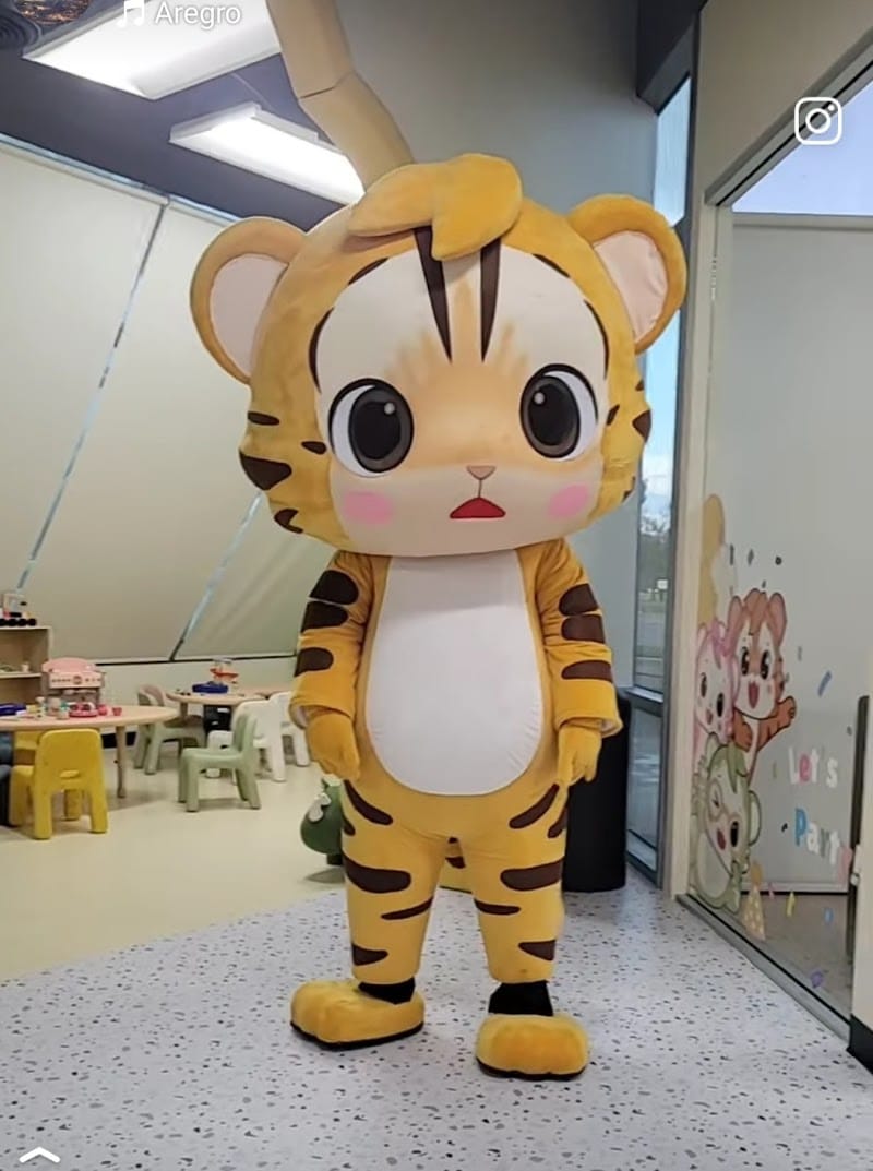 Tiny Tiger playground photo 3