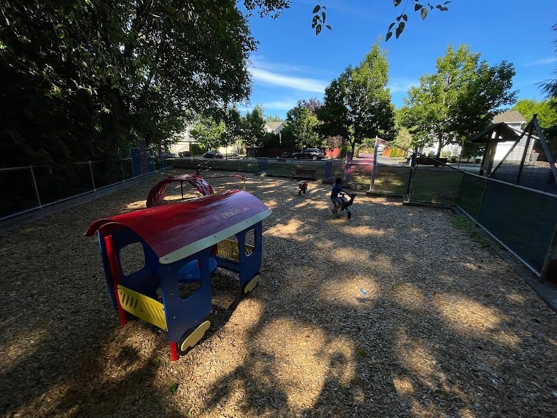 Toddler Playground playground photo 1