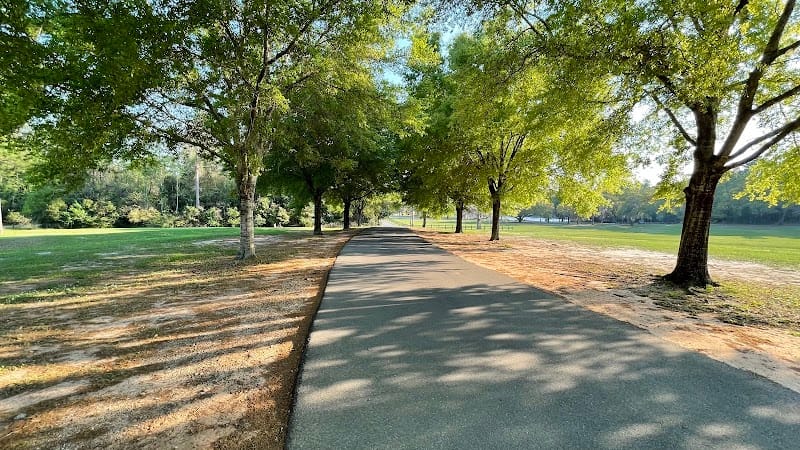 Tom Brown Park playground photo 1