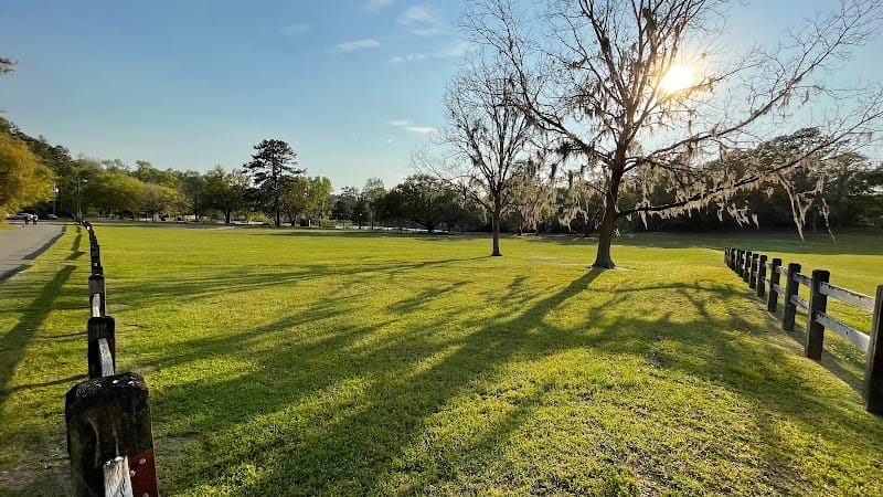 Tom Brown Park playground photo 3