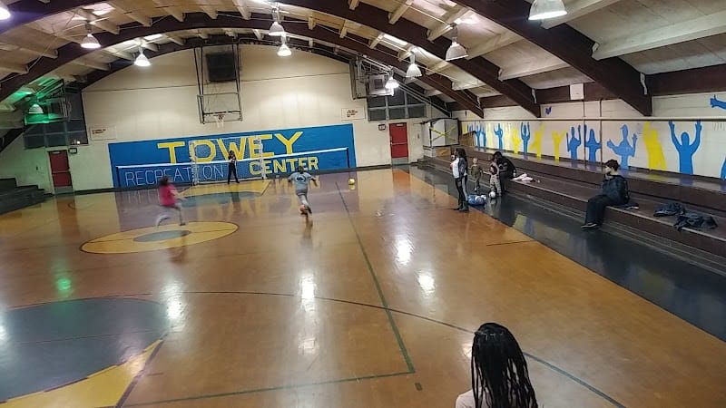 Towey Playground playground photo 3