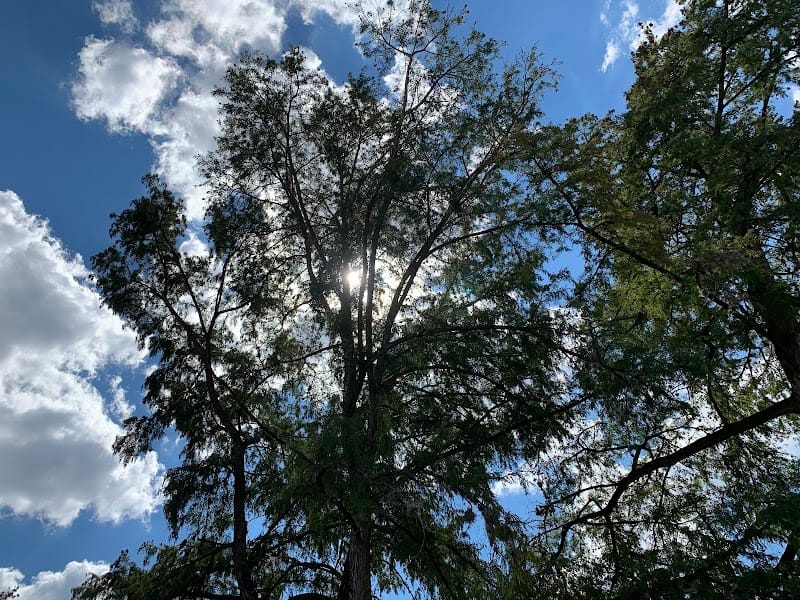 Tranquility Island playground photo 3