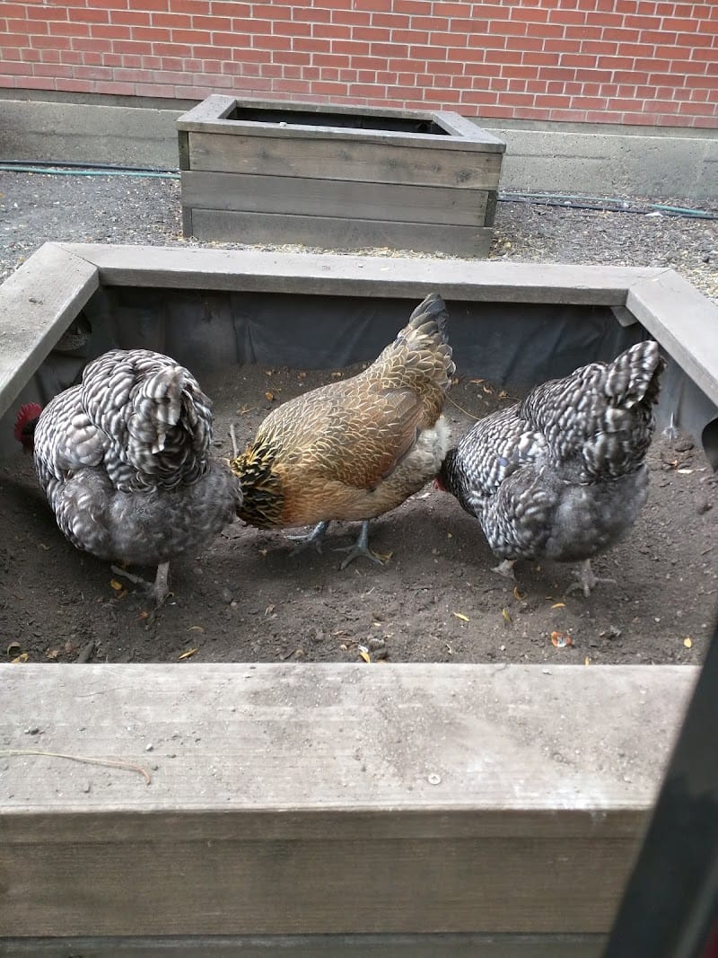 Trebes Park playground photo 2