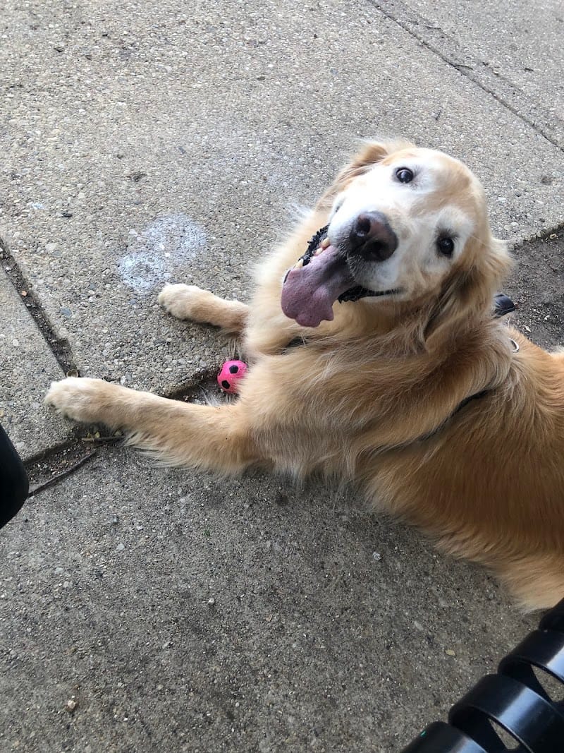 Trebes Park playground photo 3