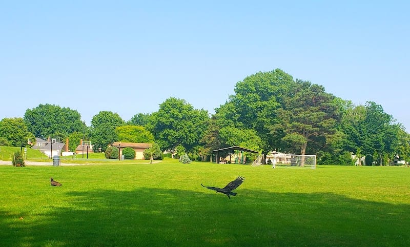 Tri-City Park playground photo 1