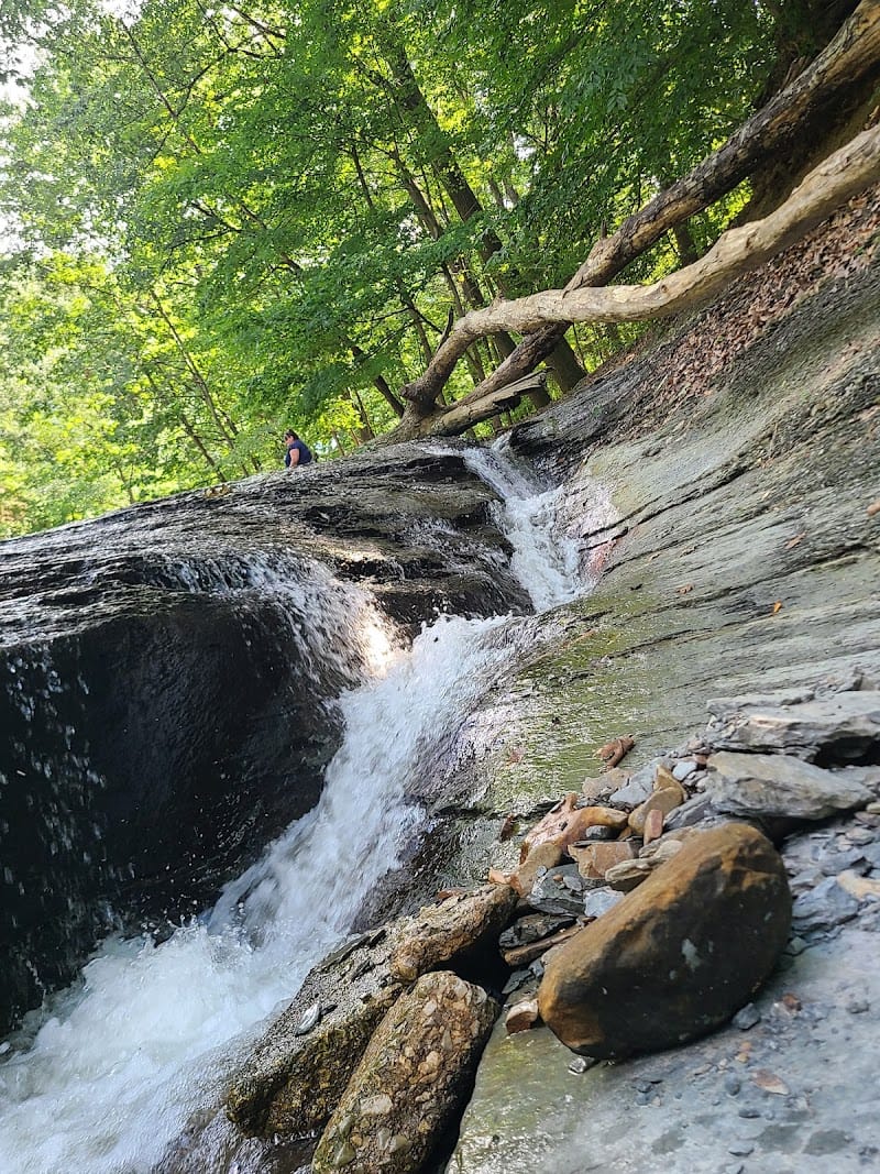 Tuxedo Park playground photo 1
