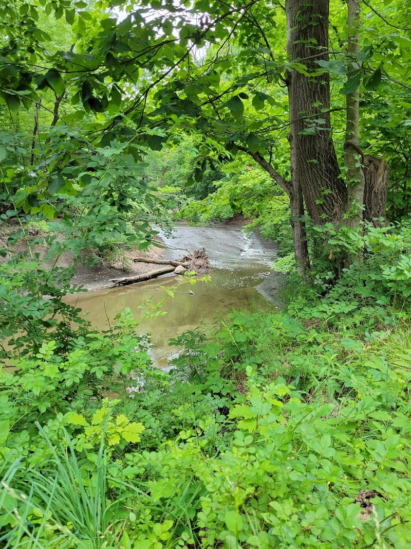 Tuxedo Park playground photo 3