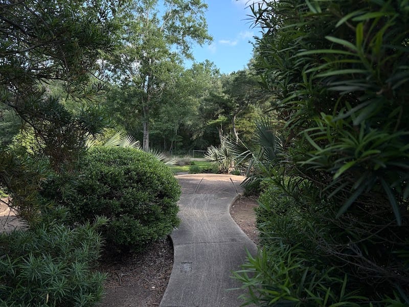 Tyrrell Park playground photo 2
