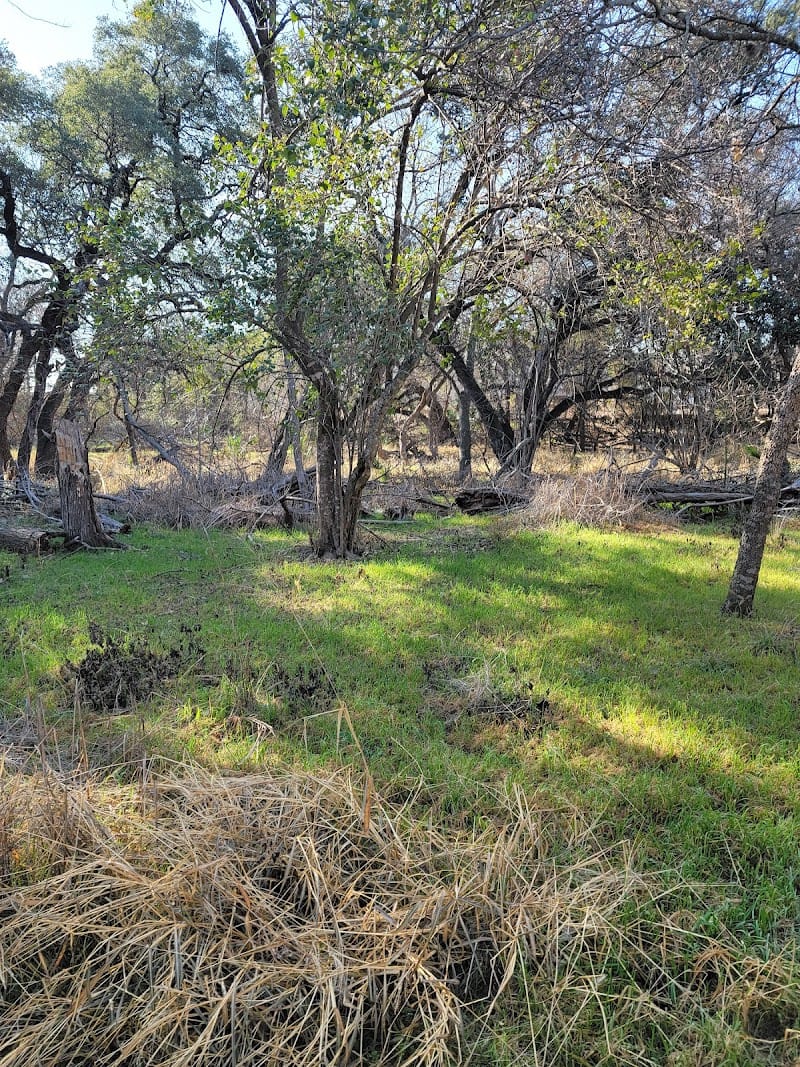 Walker Ranch Park playground photo 3