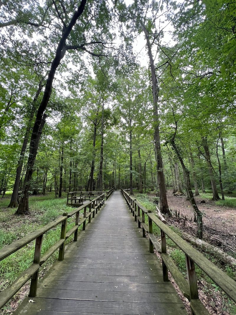 W.C. Johnson Park playground photo 1