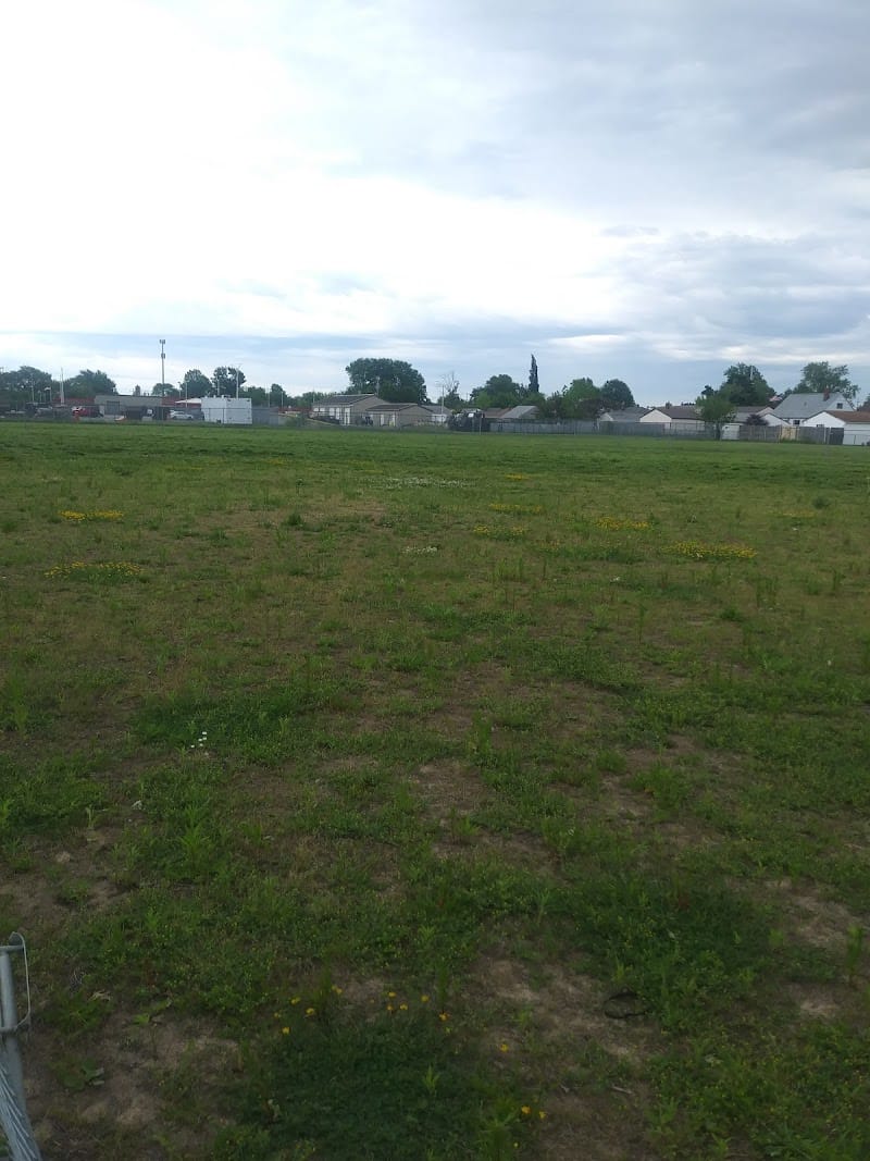 Wedo Park playground photo 1