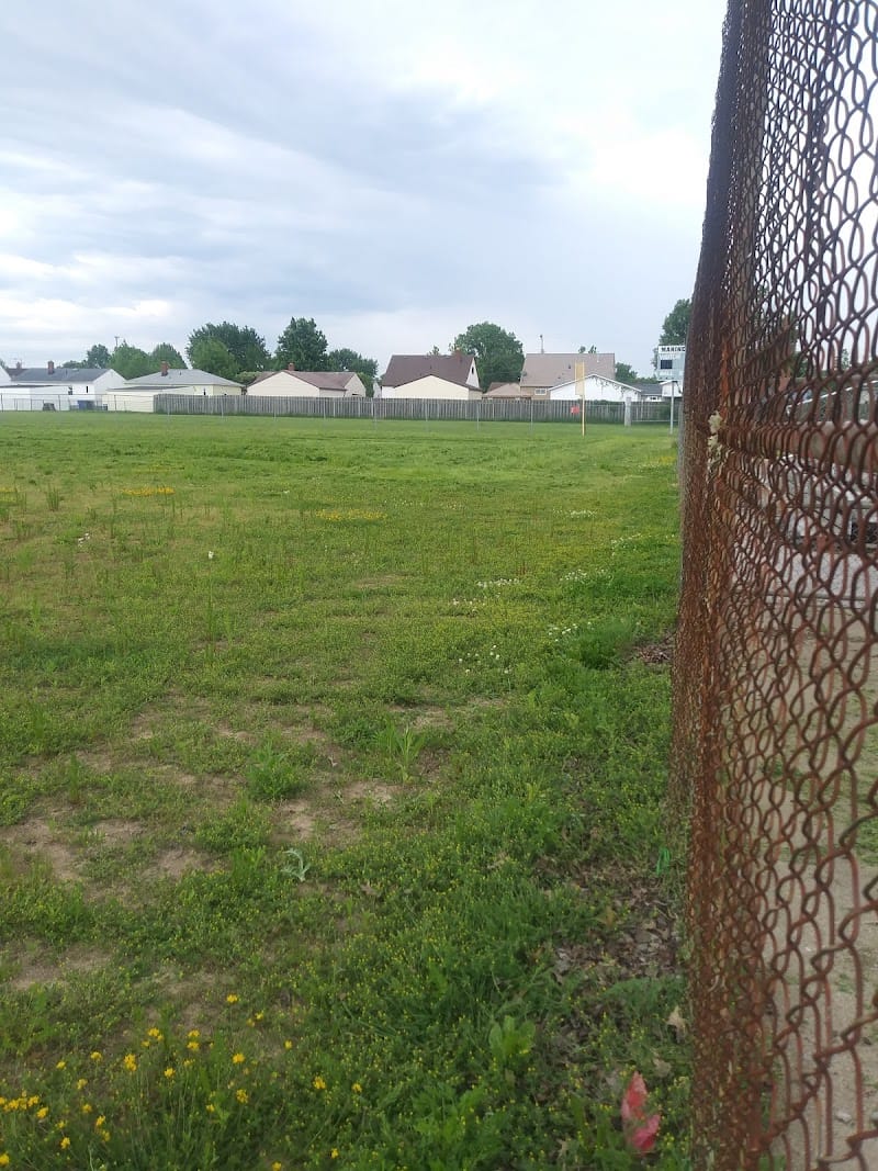 Wedo Park playground photo 2