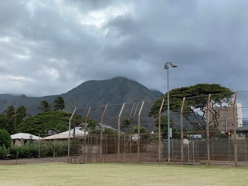 Wells Park playground photo 2