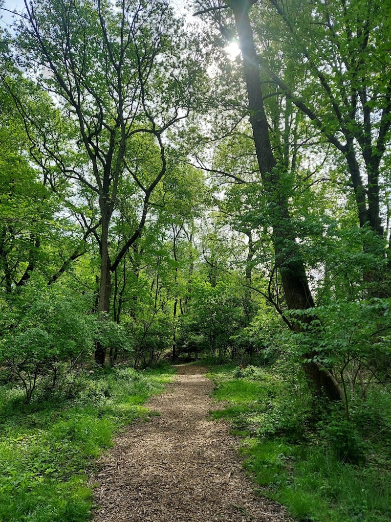 Welsh Park playground photo 2