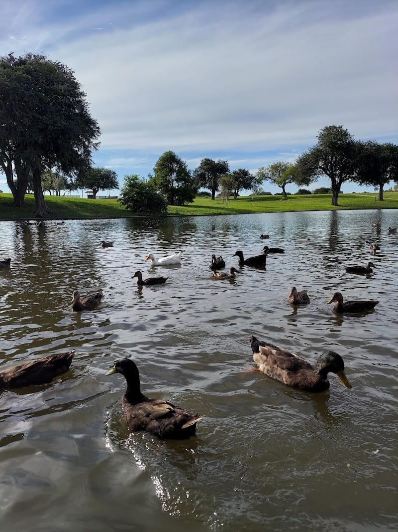 West Guth Park playground photo 3