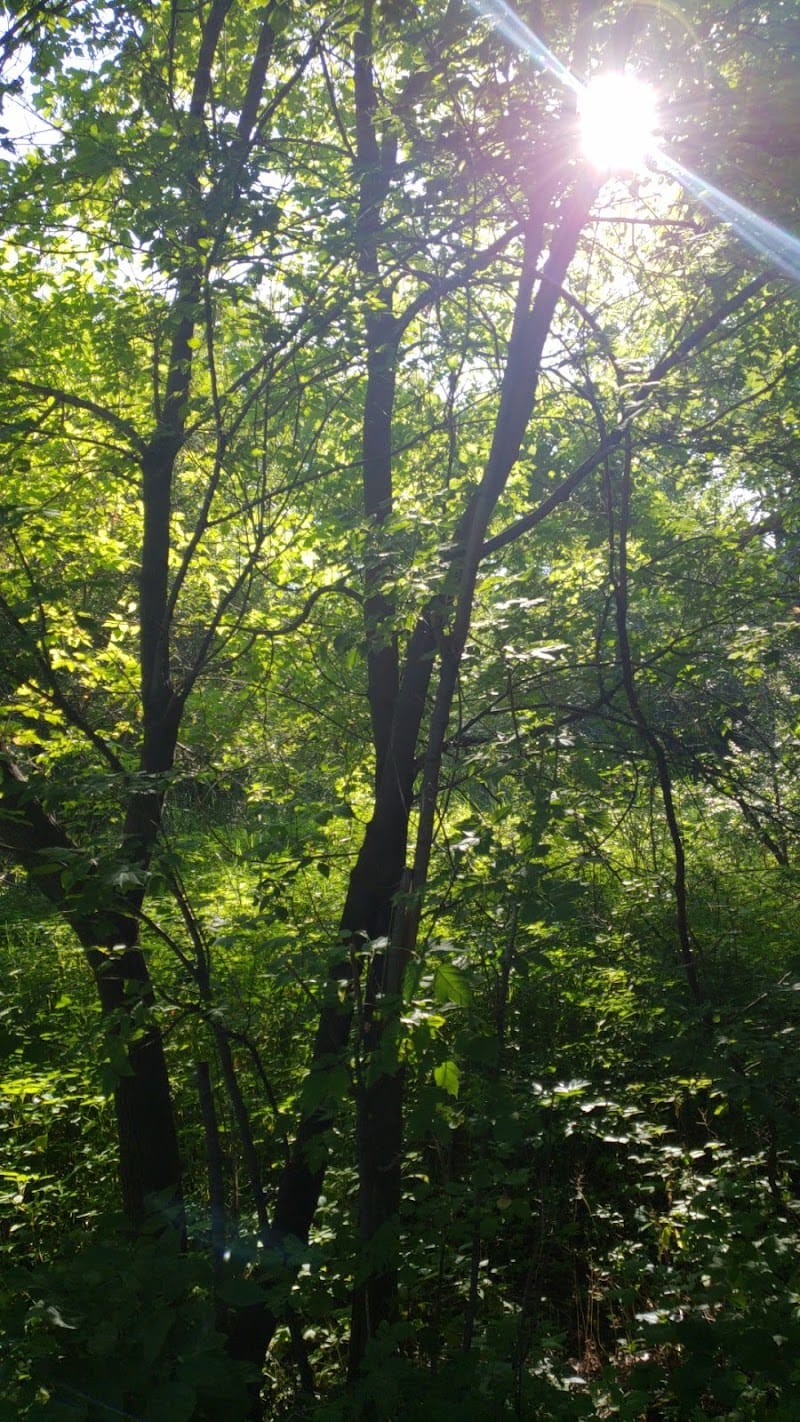 Wildwood Park playground photo 3