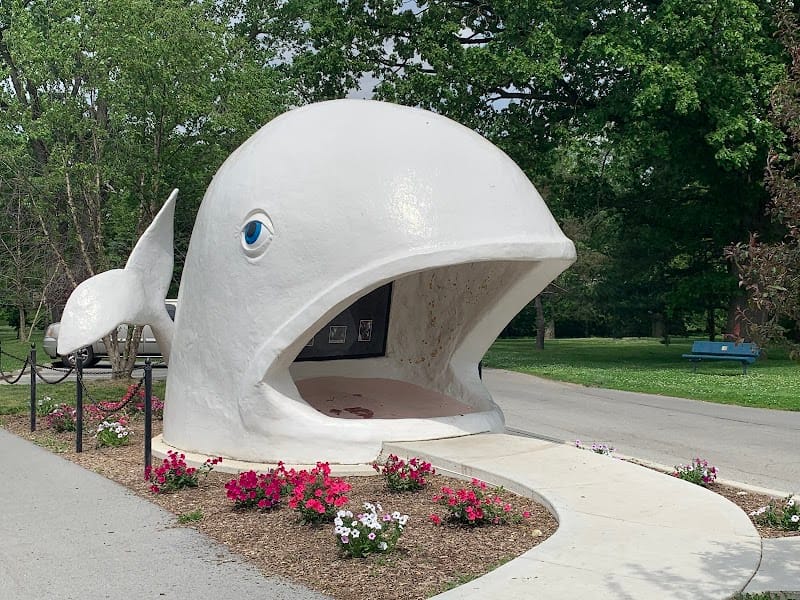 Willie The Whale playground photo 1