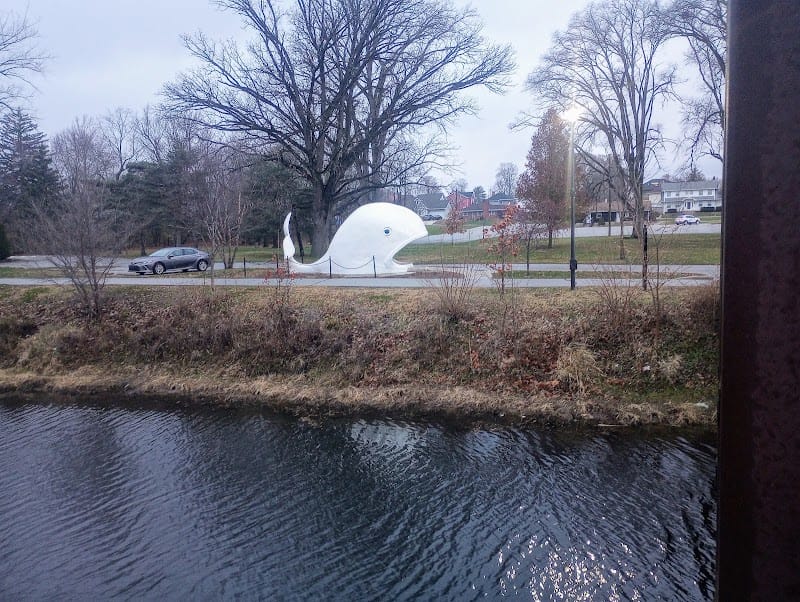 Willie The Whale playground photo 3