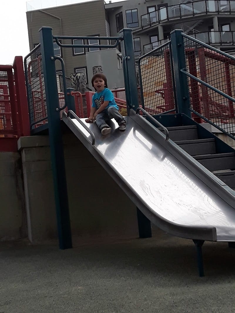 Wills Playground playground photo 1