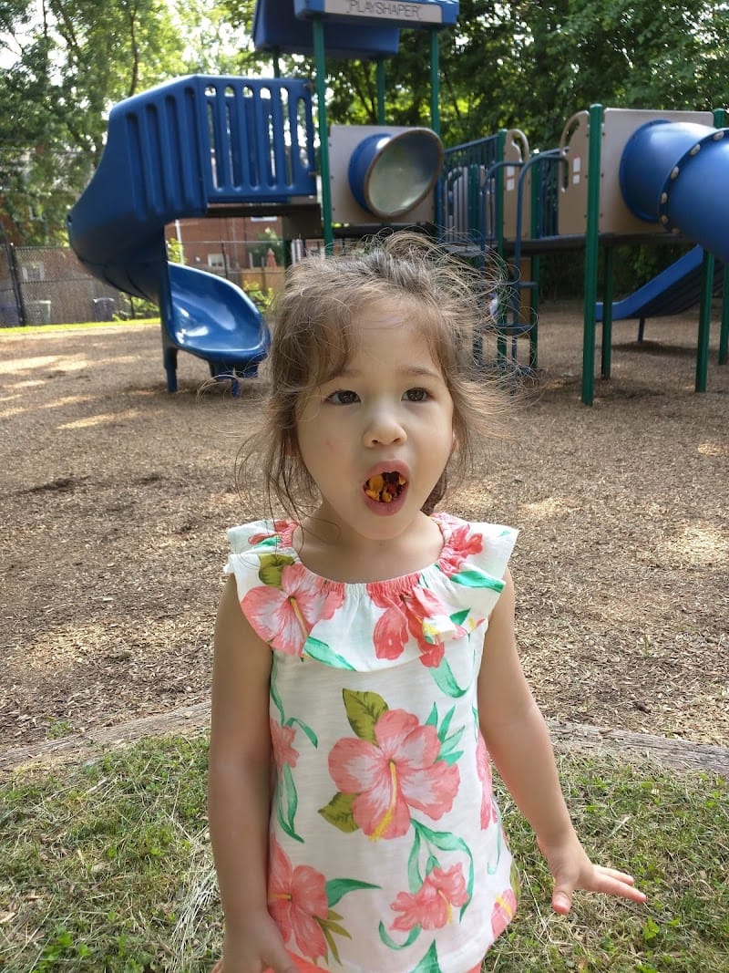 Woodbine Tot Lot playground photo 2