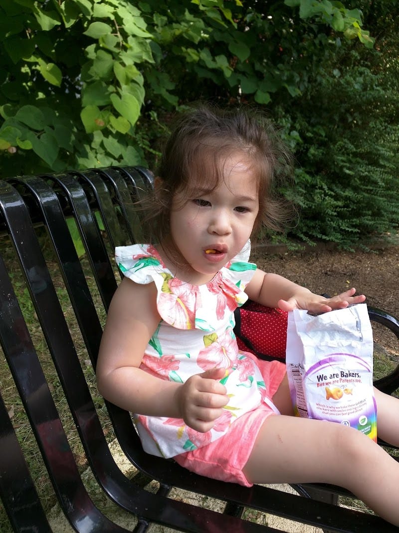 Woodbine Tot Lot playground photo 3