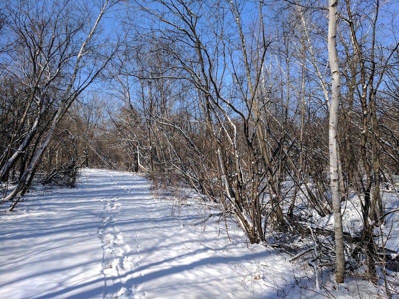 Woodland Oaks Park playground photo 1