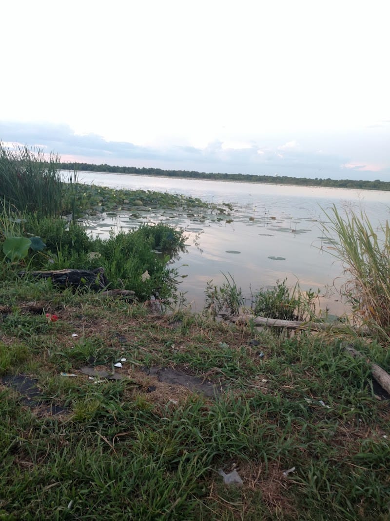 Wynn Joyce Park playground photo 3