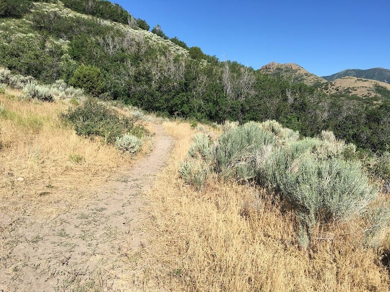 Yellow Fork Canyon playground photo 1