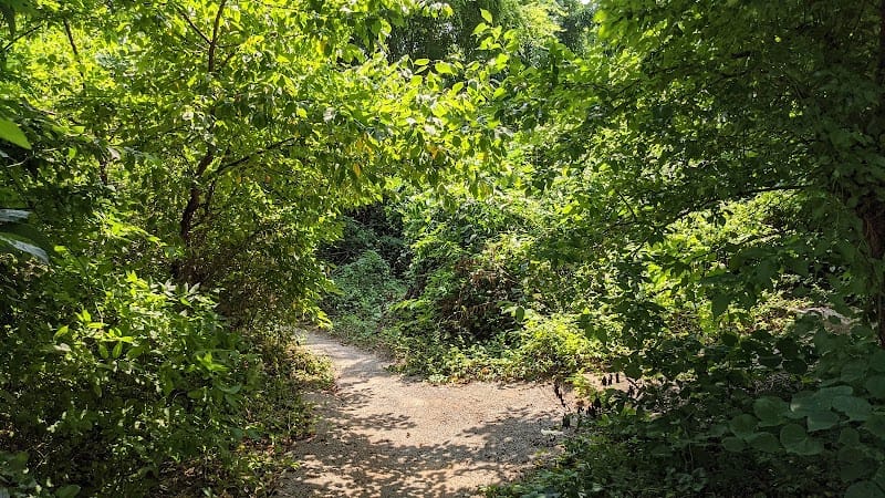 Yukon City Park playground photo 3